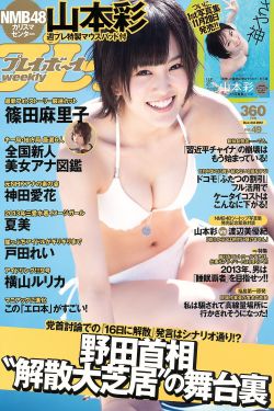 《美景之屋4》无删减裸露版